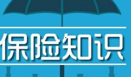 爆料保险知识大全最新,最新爆料，全方位解读保险行业奥秘