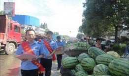 监利网红吃瓜事件,揭秘网络舆论的狂欢与反思